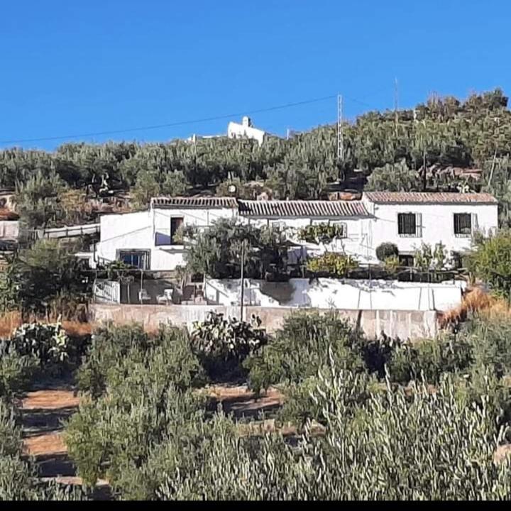Cortijo El Cerro Apartment Alcaudete Exterior photo